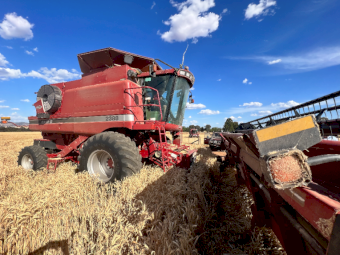 2004 Case 2388 X-Clusive Header with 30ft 1010 Front & 1015 Canola Pick up Front