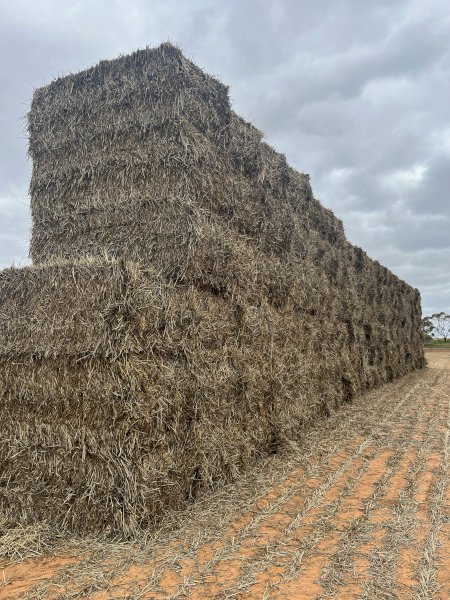40mt Oaten Hay 650 8x4x3 Bales
