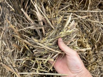 40mt Oaten Hay 650 8x4x3 Bales
