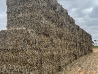 40mt Oaten Hay 650 8x4x3 Bales