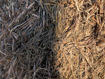 280mt Vetch Hay 625kg 8x4x3 Bales