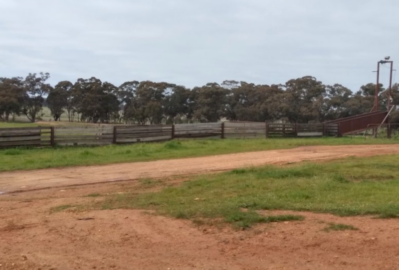Farming Land