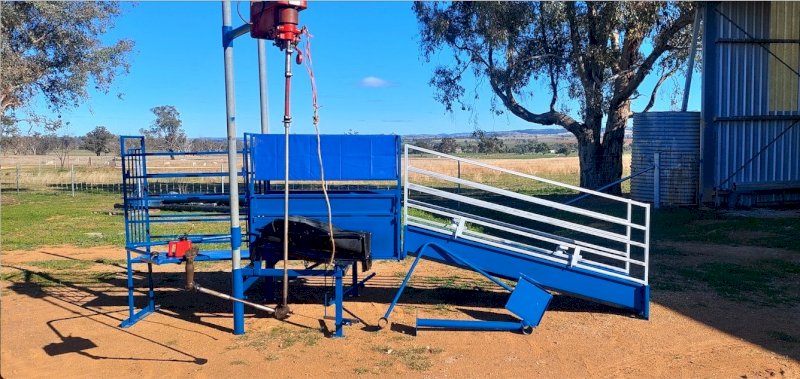 Harrington Double Sided Sheep Handler with Sunbeam Plant.
