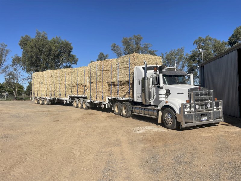 200mt Lucerne Hay 580-610kg 8x4x3 Bales