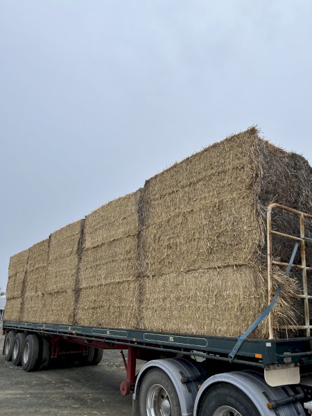 150 x Wheaten Straw 8x4x3 Bales