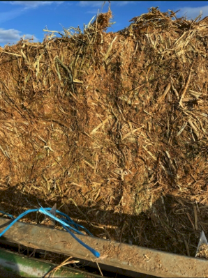 300MT Vetch Hay 8X4X3 Large Square Bales