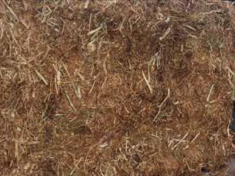 300MT Vetch Hay 8X4X3 Large Square Bales