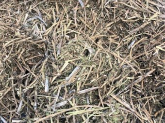 700mt Vetch Hay 600kg 8x4x3 Bales