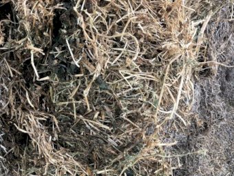700mt Vetch Hay 600kg 8x4x3 Bales