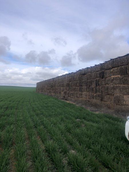 1500mt Vetch Hay 600kg 8x4x3 Bales