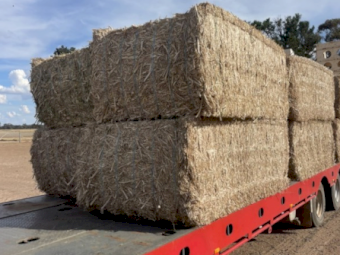 Canola Straw Tailings 8x4x3 Bales