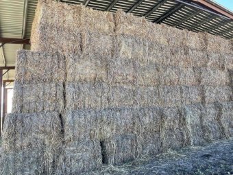300 mt  SSS Sorghum Cowpea Blend 8x4x3 Bales