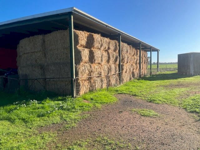 50MT Ryegrass Hay 8X4X3 Large Square Bales