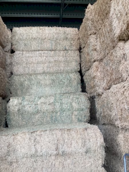 120 mt Vetch Hay