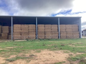 120 mt Vetch Hay