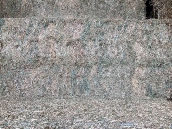 120 mt Vetch Hay 23/24 Season Shedded