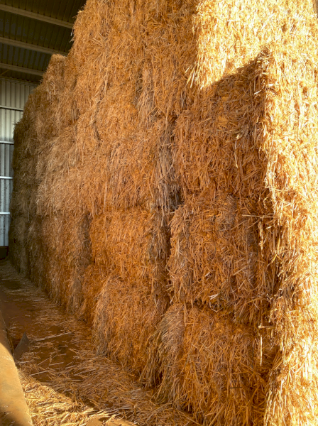 86mt Oaten Hay 730kg 8x4x3 Bales