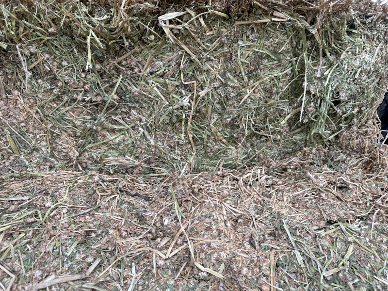 1 x B-Double Load of Shaftal Clover Hay