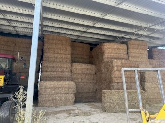 1 x B-Double Load of Shaftal Clover Hay
