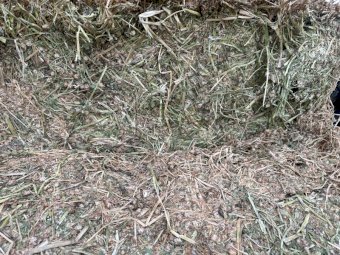 1 x B-Double Load of Shaftal Clover Hay