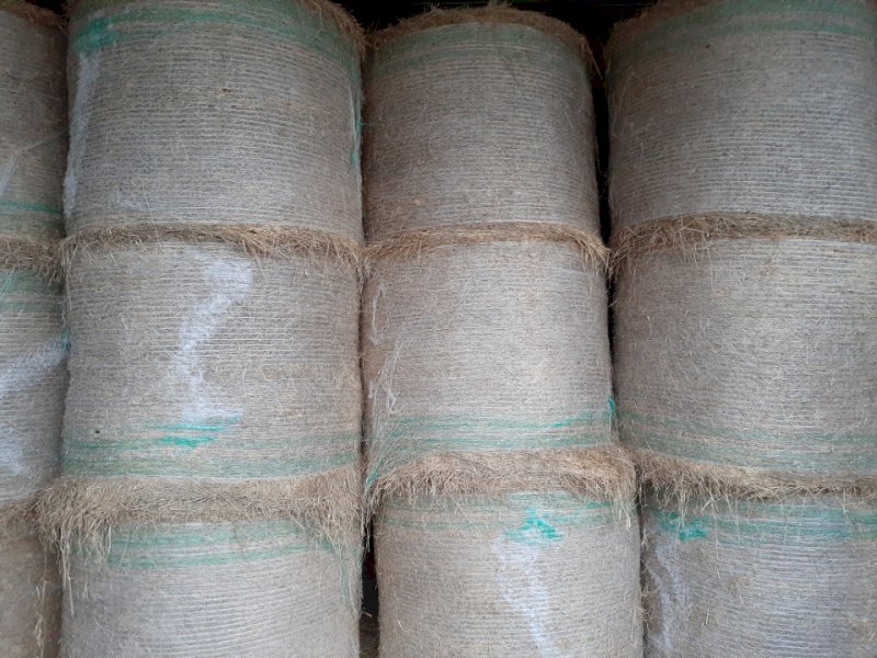 Phalaris Hay in Round Bales
