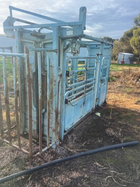 Warwick Cattle Crush