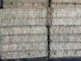 160mt Vetch Hay 600kg 8x4x3 Bales