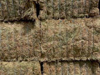 160mt Vetch Hay 600kg 8x4x3 Bales
