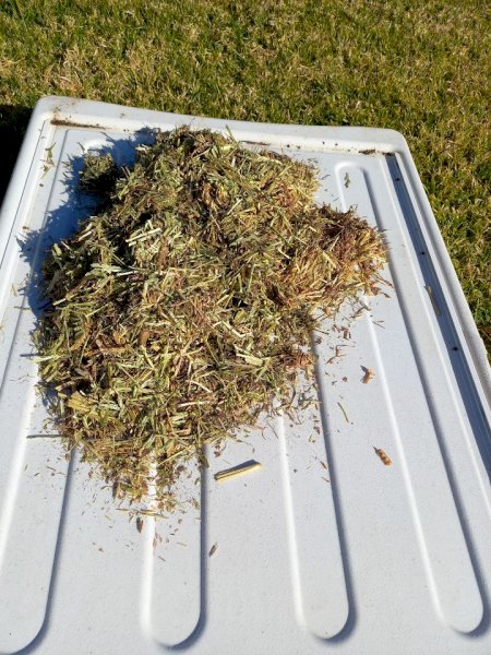 200mt Vetch-Ryegrass Mix Hay