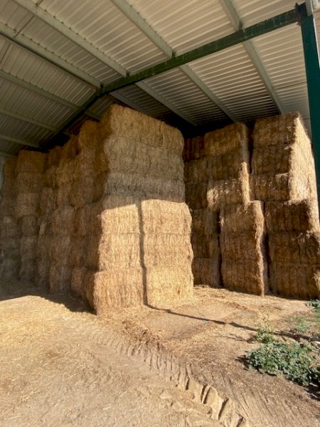70 mt Sub Clover/Balansa Clover Hay