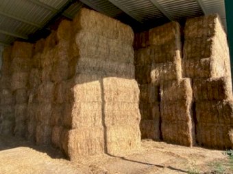 70 mt Sub Clover/Balansa Clover Hay