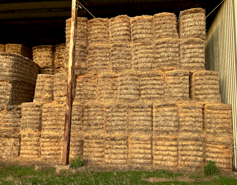 20mt Wheaten Straw 450-500kg 8x4x3 Bales