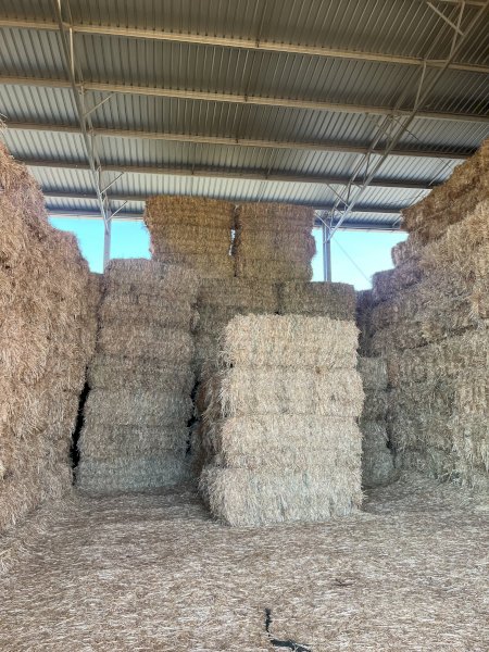 2021 & 2023 Oaten Hay