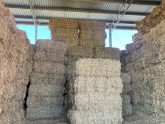 2021 & 2023 Oaten Hay