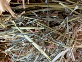 2021 & 2023 Oaten Hay