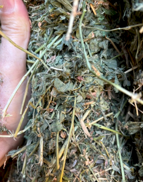Lucerne Hay 8x4x3