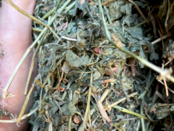 Lucerne Hay 8x4x3