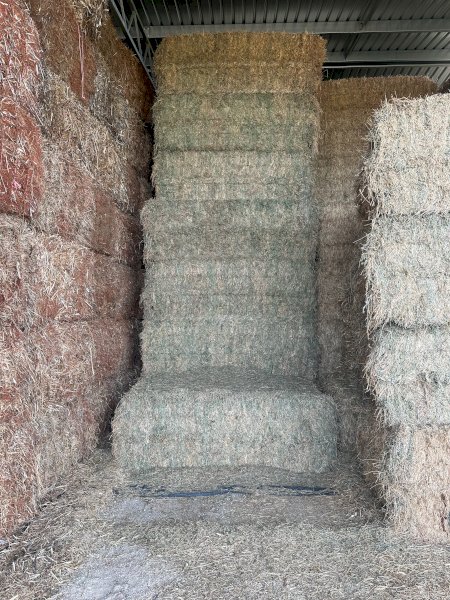 50mt Lucerne Hay 670kg 8x4x3 Bales