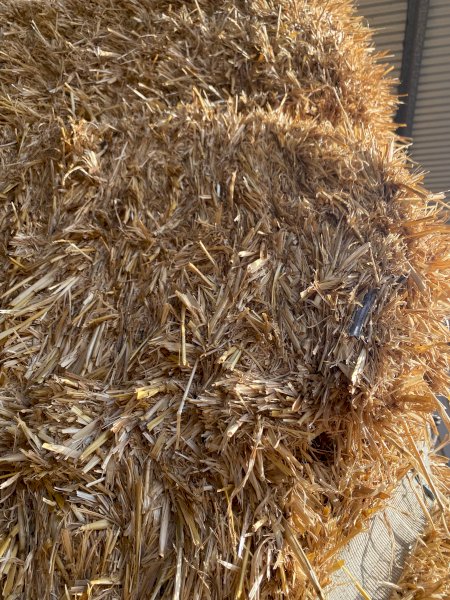 30mt Barley Straw 8x4x3 Bales