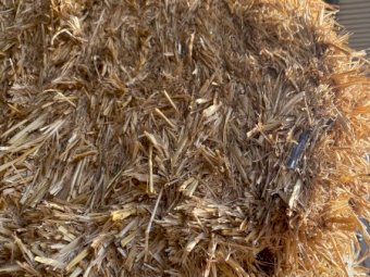 30mt Barley Straw 8x4x3 Bales
