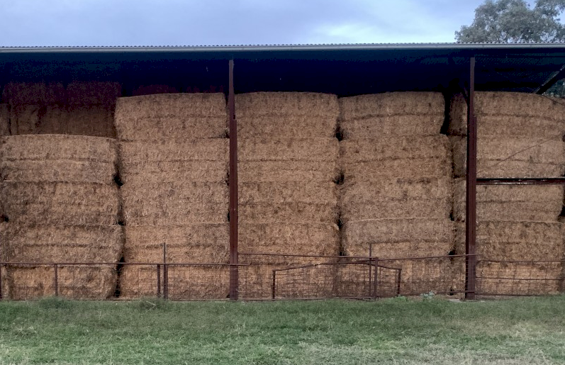 20 x Vetch Hay 530kg 8x4x3 Bales (Negotiable last bales)