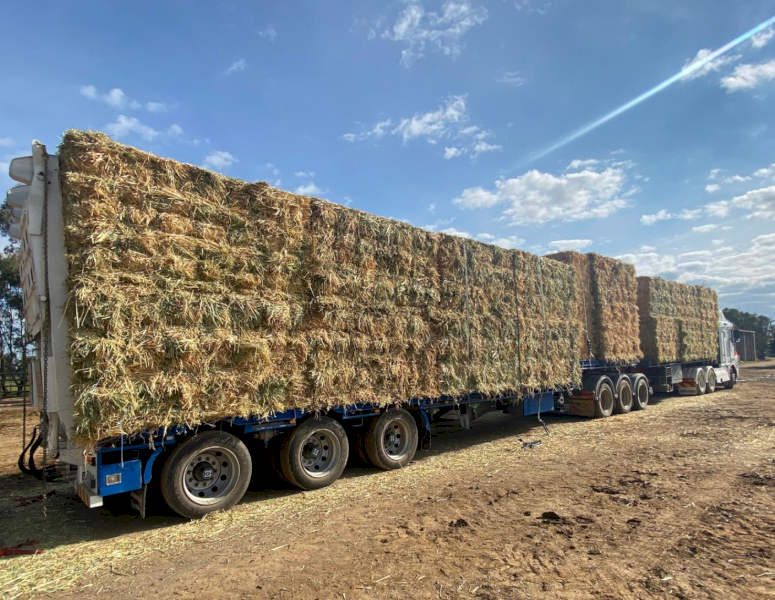 1050 x Pasture & Oaten Small Squares in Bale Baron Packs (21)