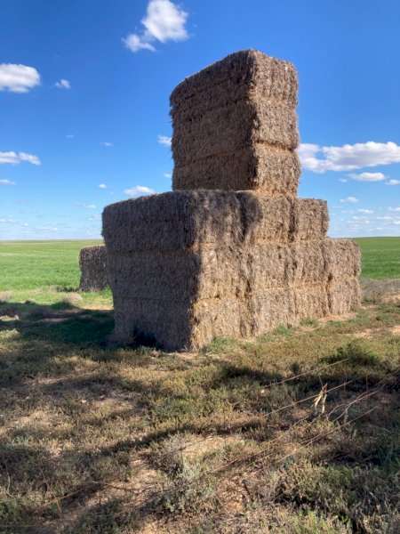 9MT Cereal Hay 8X4X3 Large Square Bales