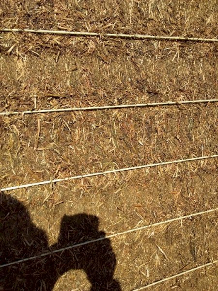 A1 22' Season Vetch Hay