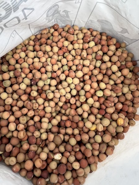 90 m/t Field Peas