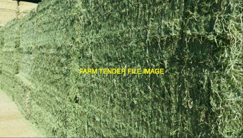 120mt Lucerne Hay 500-550kg 8x4x3 Bales