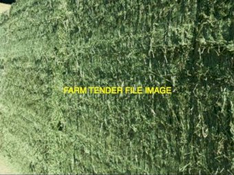120mt Lucerne Hay 500-550kg 8x4x3 Bales
