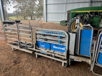 2019 Te Pari Racewell HD4 Sheep Handler