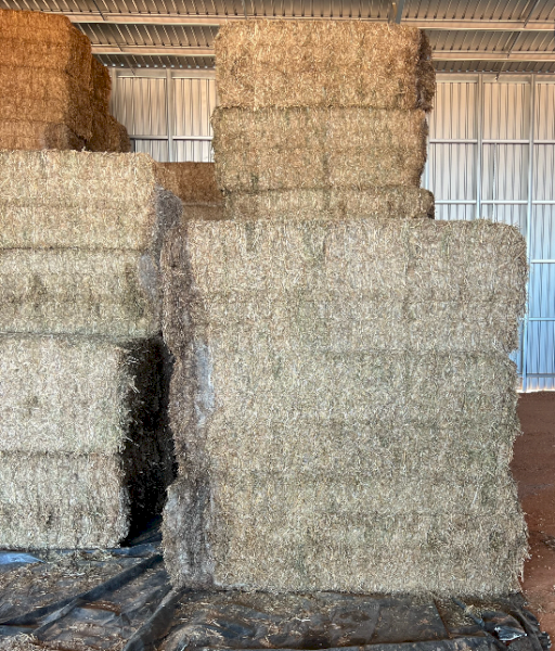 30mt Vetch Hay 650kg 8x4x3 Bales