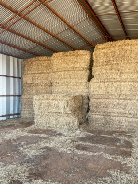 50MT Clover Hay 8X4X3 Large Square Bales